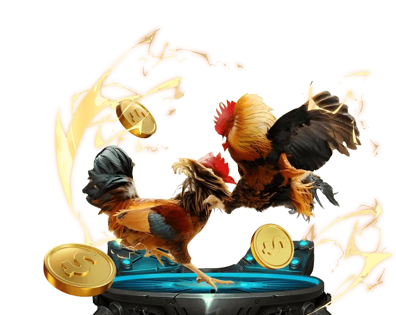 Hình ảnh hoàn trả tiền cược casino tại TP88